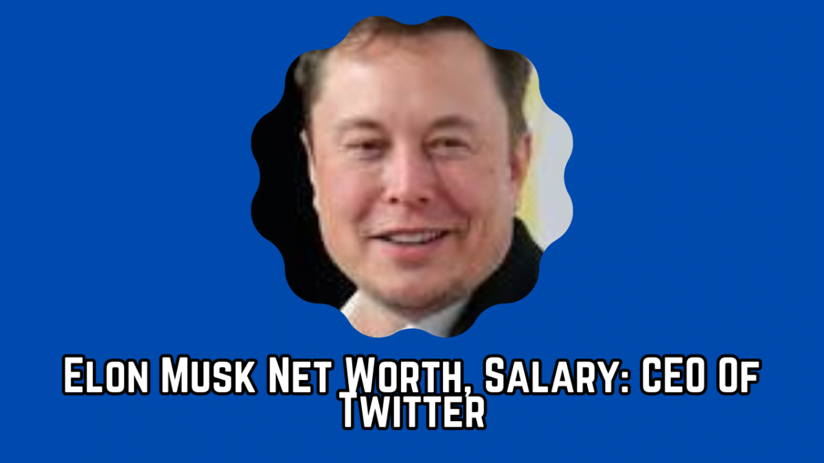 Elon Musk Net Worth, Salary CEO Of Twitter Toppers Diary