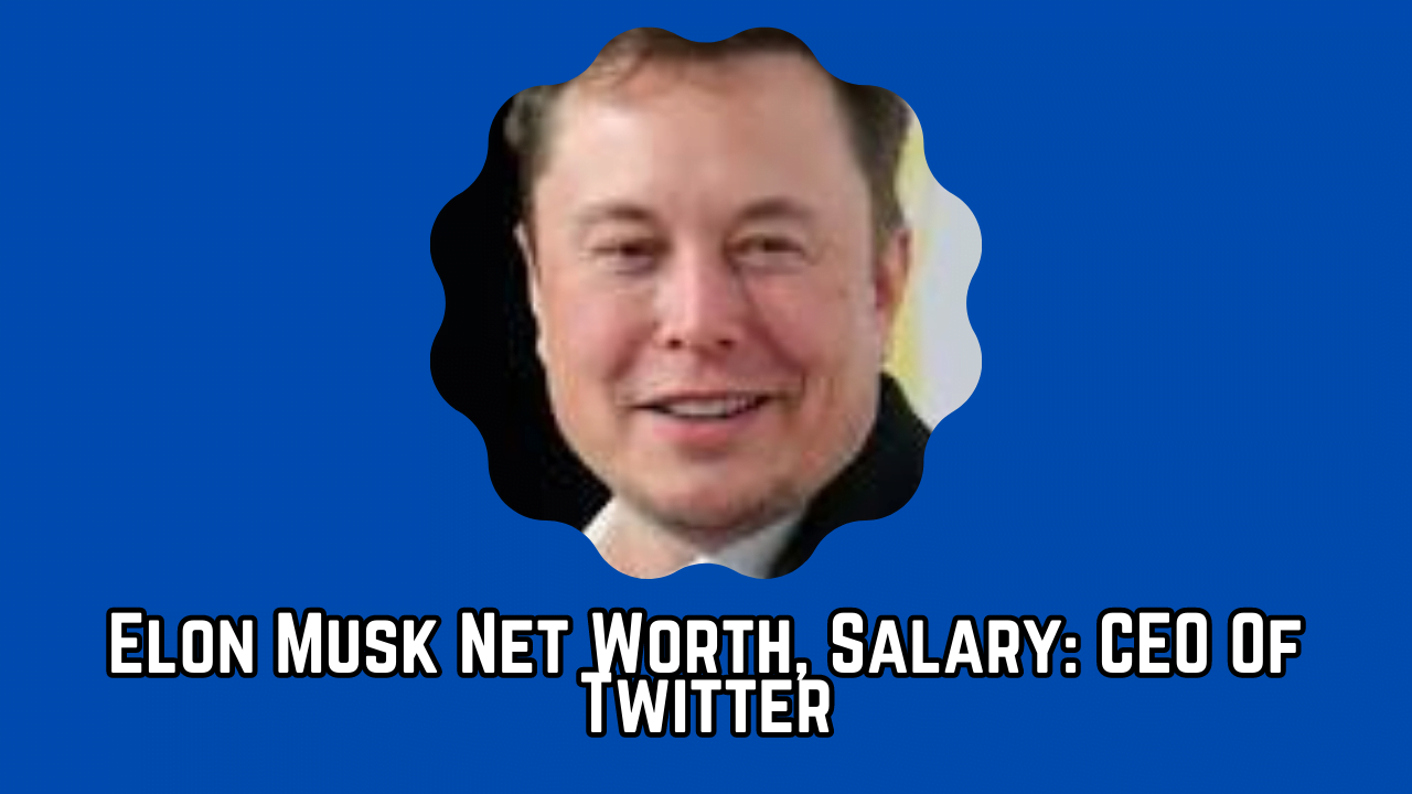 Elon Musk Net Worth, Salary CEO Of Twitter ToppersDiary